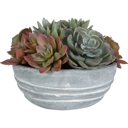 Peoria Succulent Accent by Uttermost in green. Made from plastic, cement, iron, glue in a modern style.