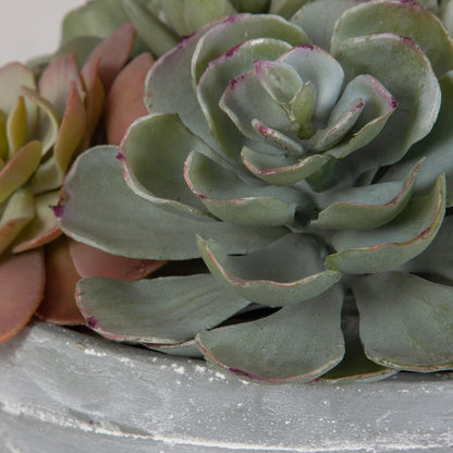Peoria Succulent Accent by Uttermost in green. Made from plastic, cement, iron, glue in a modern style.
