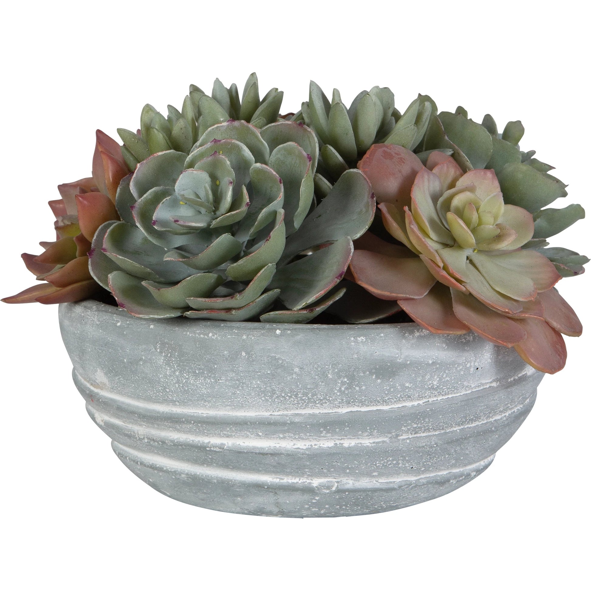 Peoria Succulent Accent by Uttermost in green. Made from plastic, cement, iron, glue in a modern style.