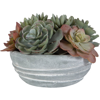 Peoria Succulent Accent by Uttermost in green. Made from plastic, cement, iron, glue in a modern style.