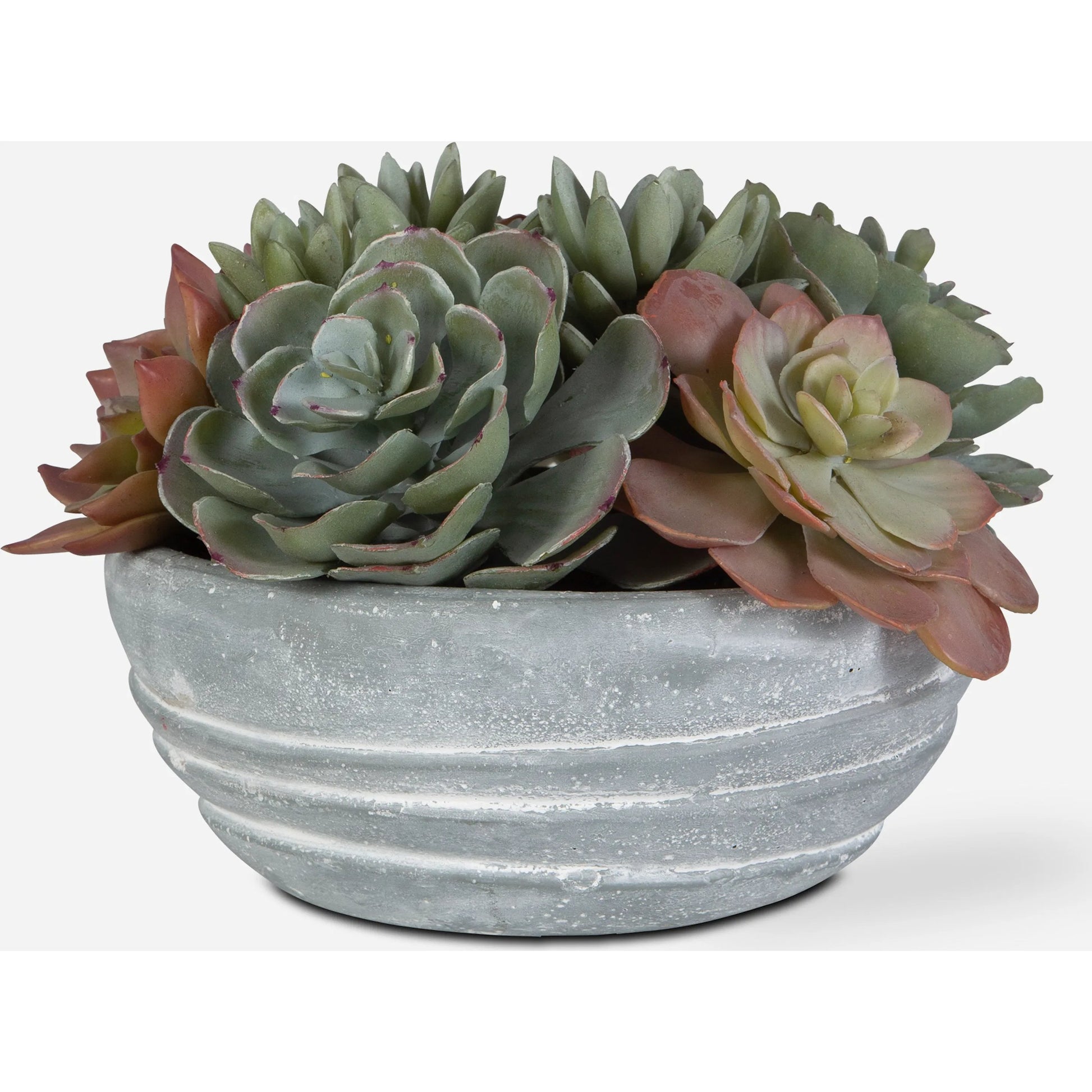 Peoria Succulent Accent by Uttermost in green. Made from plastic, cement, iron, glue in a modern style.