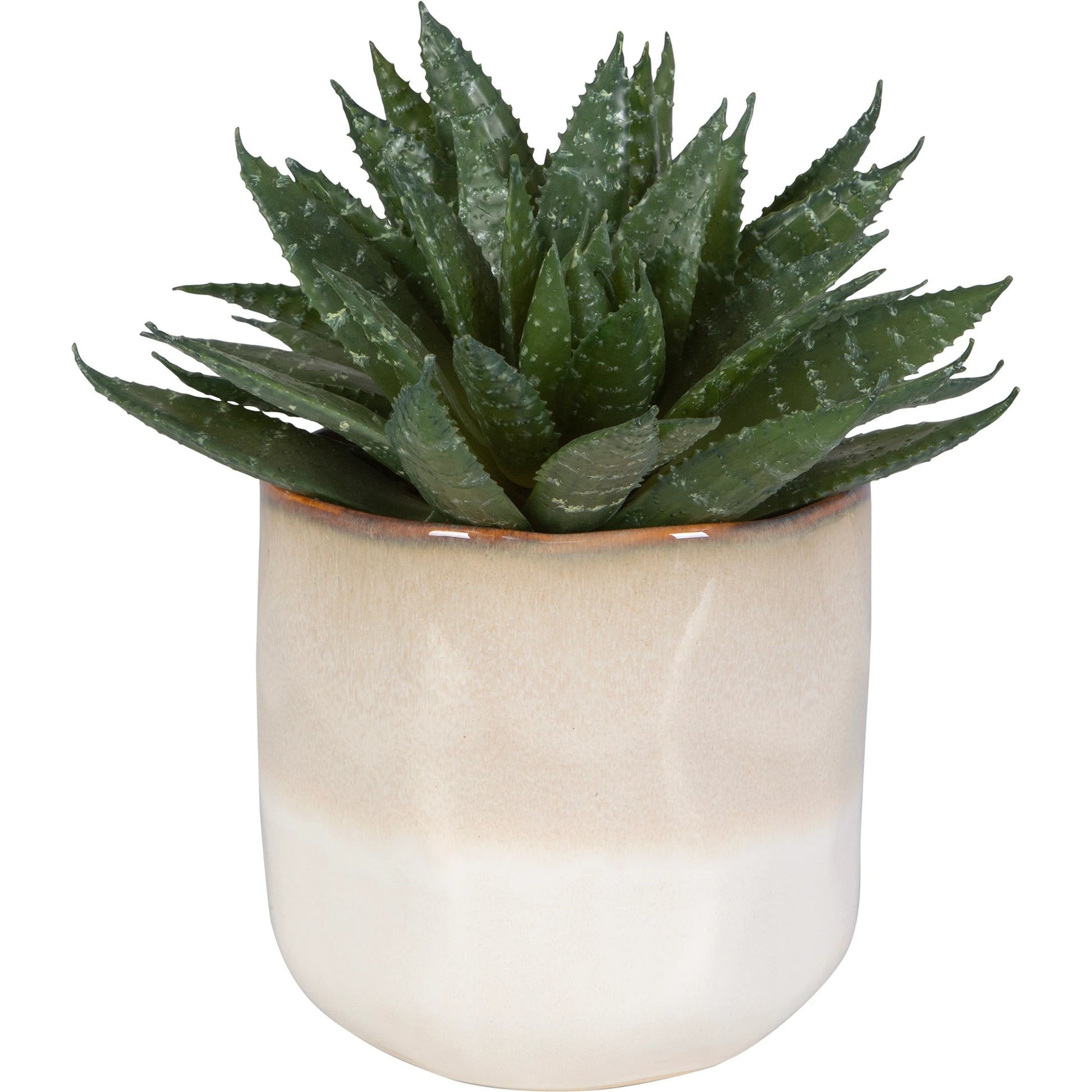 Doha Succulent Accent by Uttermost in beige. Made from plastic, ceramic, iron, glue in a modern style.