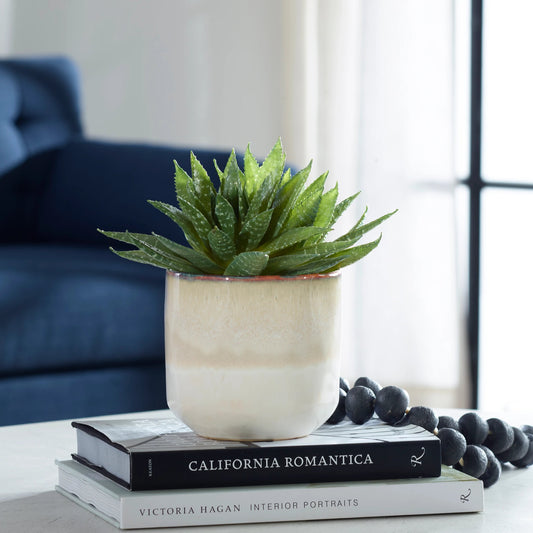 Doha Succulent Accent by Uttermost in beige. Made from plastic, ceramic, iron, glue in a modern style.