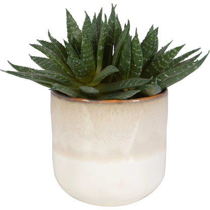 Doha Succulent Accent by Uttermost in beige. Made from plastic, ceramic, iron, glue in a modern style.