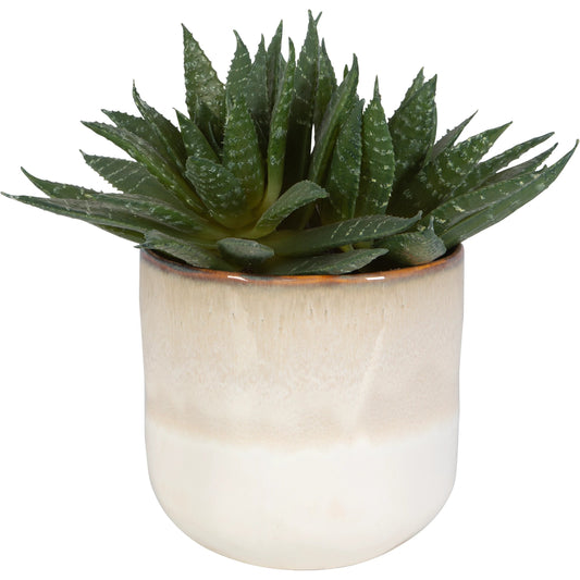 Doha Succulent Accent by Uttermost in beige. Made from plastic, ceramic, iron, glue in a modern style.