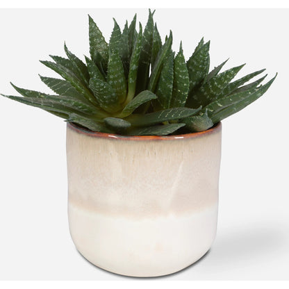 Doha Succulent Accent by Uttermost in beige. Made from plastic, ceramic, iron, glue in a modern style.