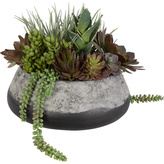Gobi Succulent Centerpiece by Uttermost in dark iron. Made from plastic, cement, foam, glue, iron in a modern style.
