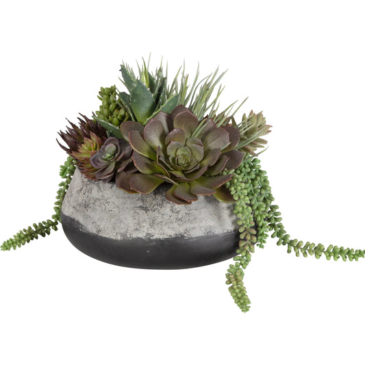 Gobi Succulent Centerpiece by Uttermost in dark iron. Made from plastic, cement, foam, glue, iron in a modern style.