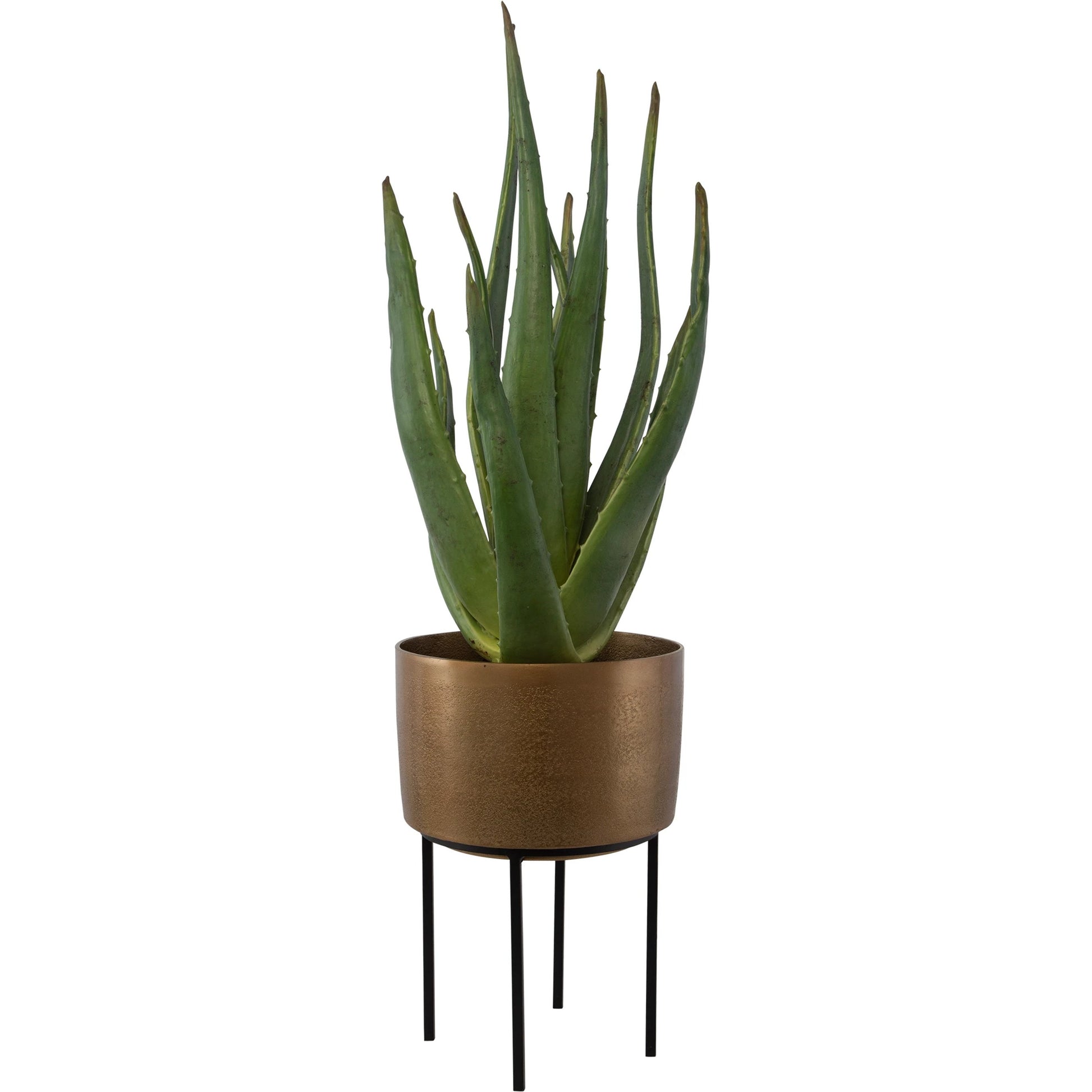 Arabia Aloe Planter by Uttermost in brass. Made from foam, aluminum, cement, iron in a modern style.