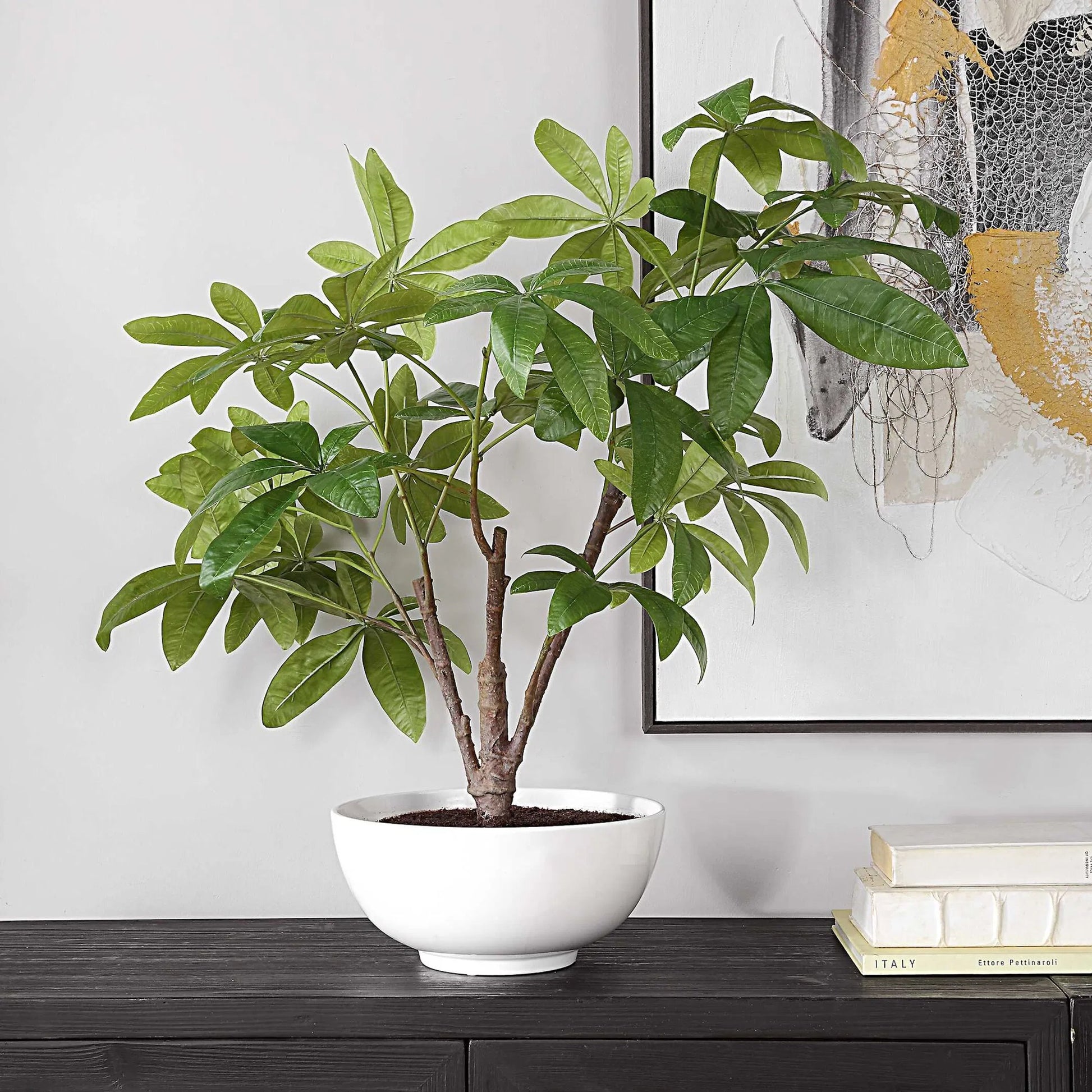 Pachira Money Tree by Uttermost in green. Made from polyester, plastic, polyfoam, ceramic in a transitional style.