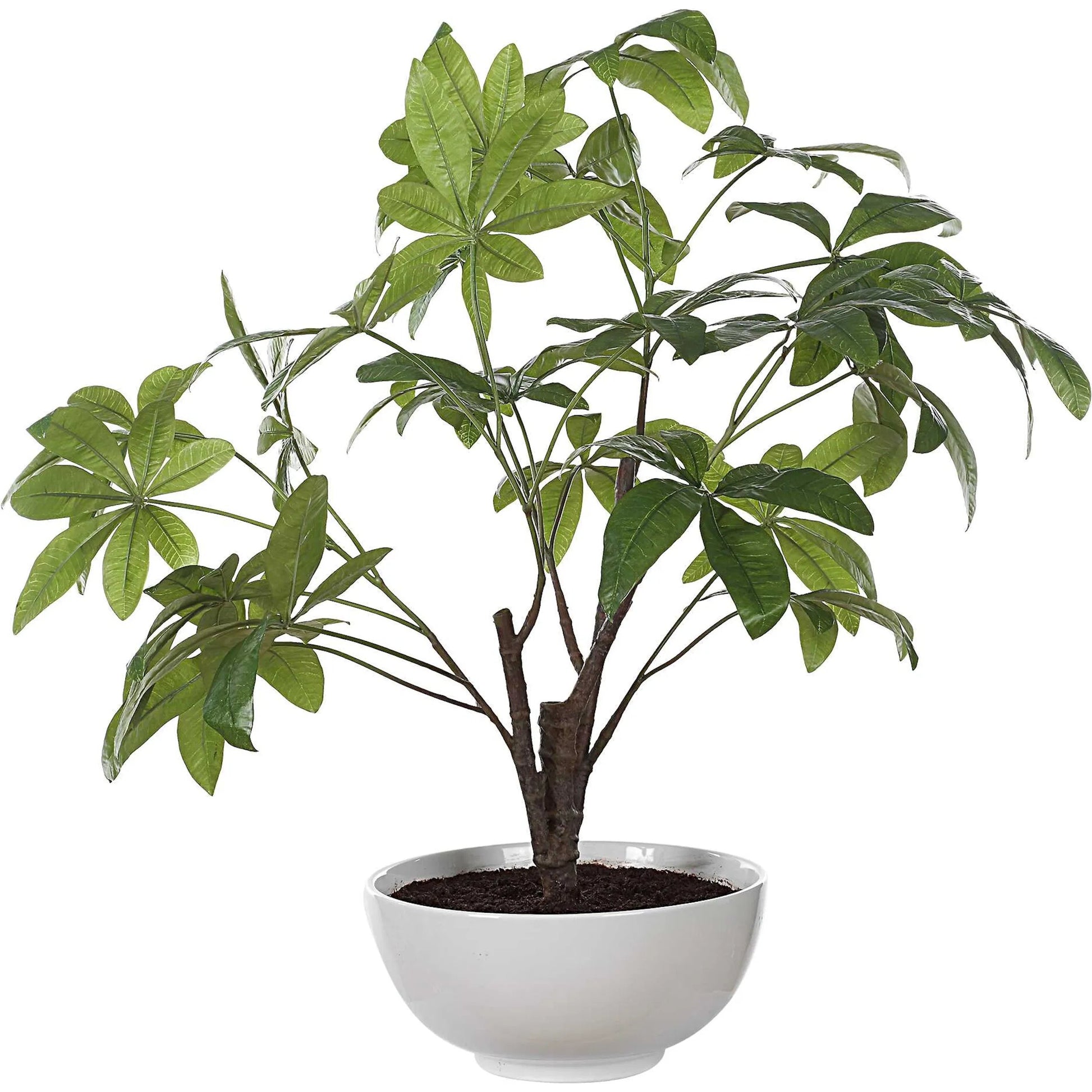 Pachira Money Tree by Uttermost in green. Made from polyester, plastic, polyfoam, ceramic in a transitional style.