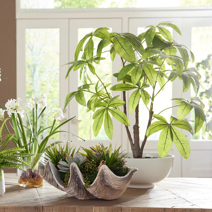 Pachira Money Tree by Uttermost in green. Made from polyester, plastic, polyfoam, ceramic in a transitional style.