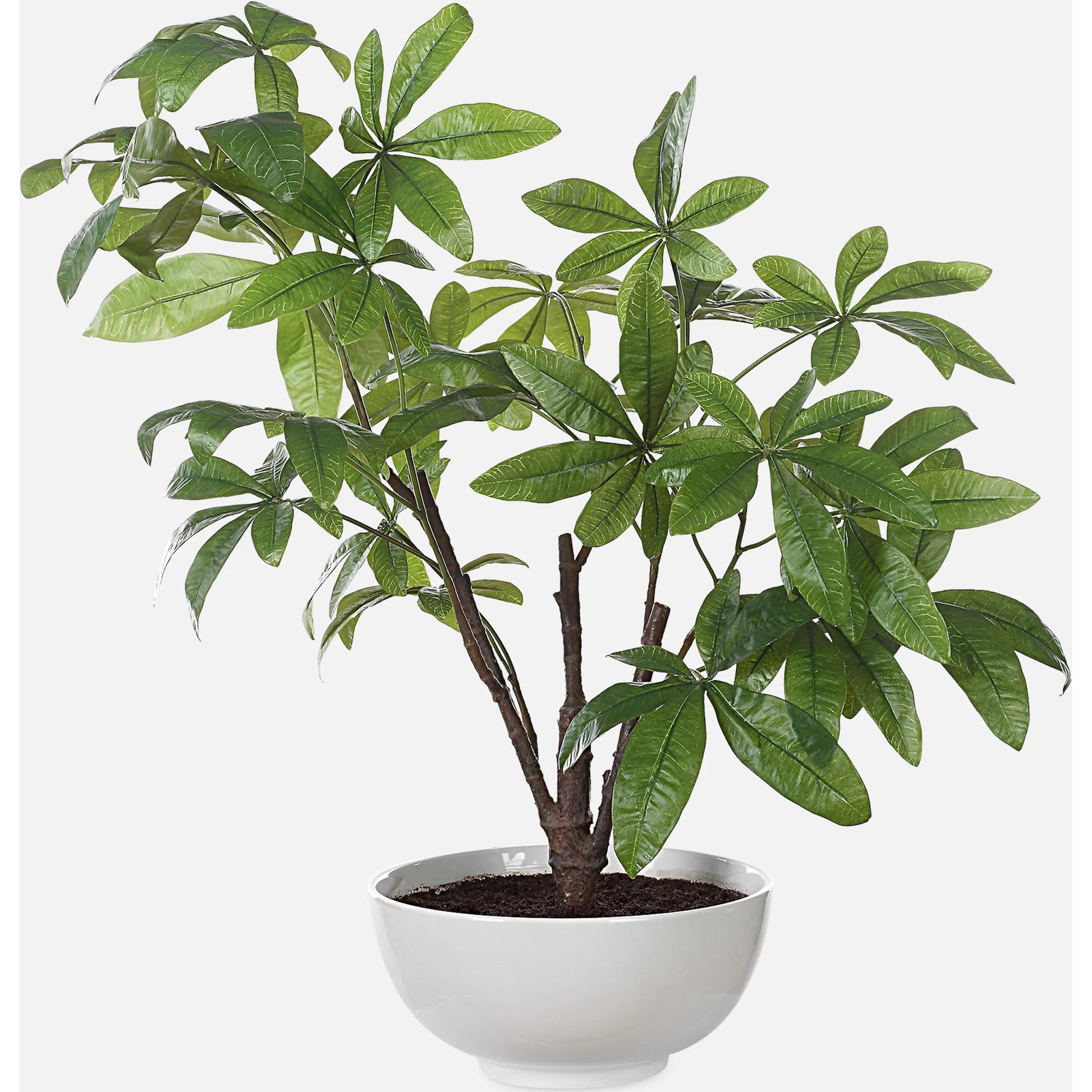 Pachira Money Tree by Uttermost in green. Made from polyester, plastic, polyfoam, ceramic in a transitional style.