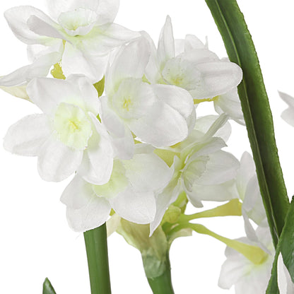 Lacey Daffodil Accent Arrangement by Uttermost. Made from polyester, plastic, polyfoam, glass in a transitional style.