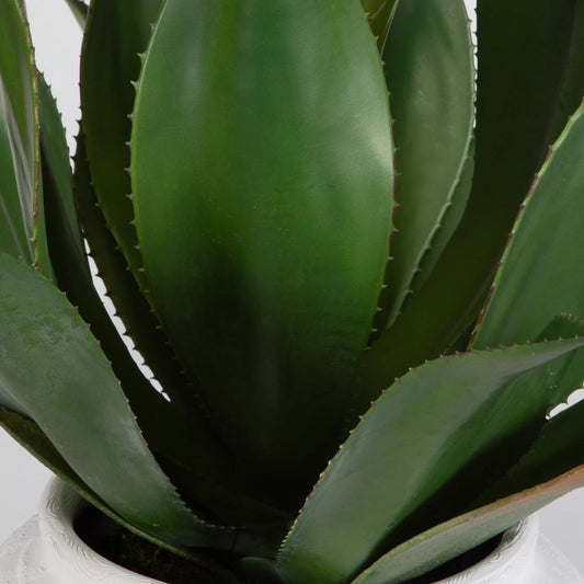 Tierra Agave Centerpiece with Vase by Uttermost in white. Made from latex, ceramic, foam, natural moss in a unique style.