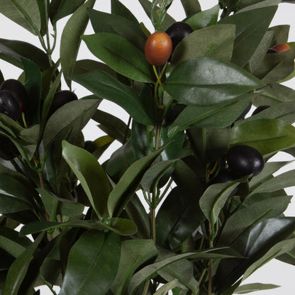 Elena Olive Centerpiece by Uttermost in green. Made from fabric, ceramic, foam, natural moss in a transitional style.