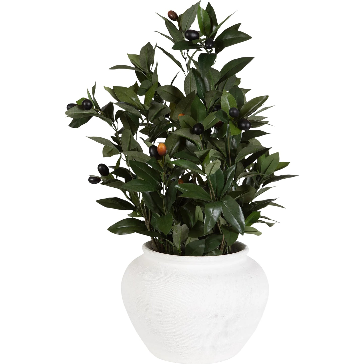 001 SI-2295388 | Primary Silo | Elena Olive Centerpiece by Uttermost in green. Made from fabric, ceramic, foam, natural moss in a transitional style.