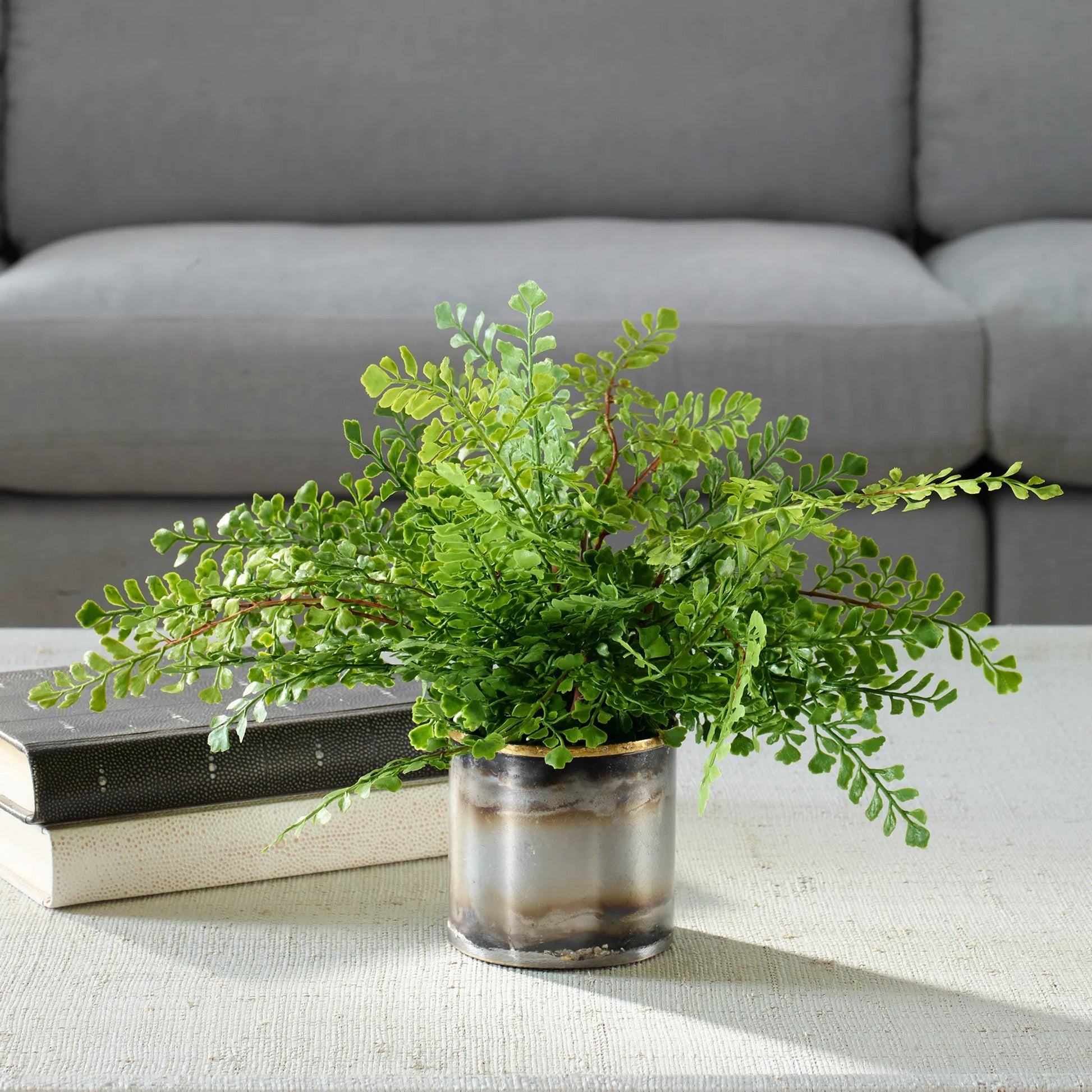 Maidenhair Fern in Oxidized Container by Uttermost in gold. Made from fabric, metal, foam, natural moss, wire in a eclectic & global style.