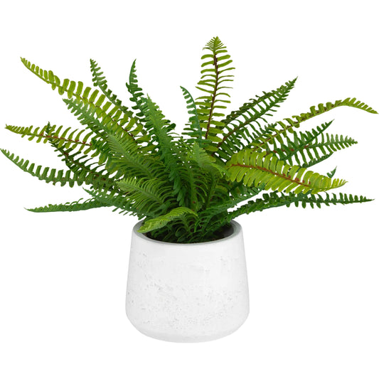 Boston Fern in Ceramic Pot by Uttermost in green. Made from fabric, ceram, foam, natural moss, wire in a unique style.