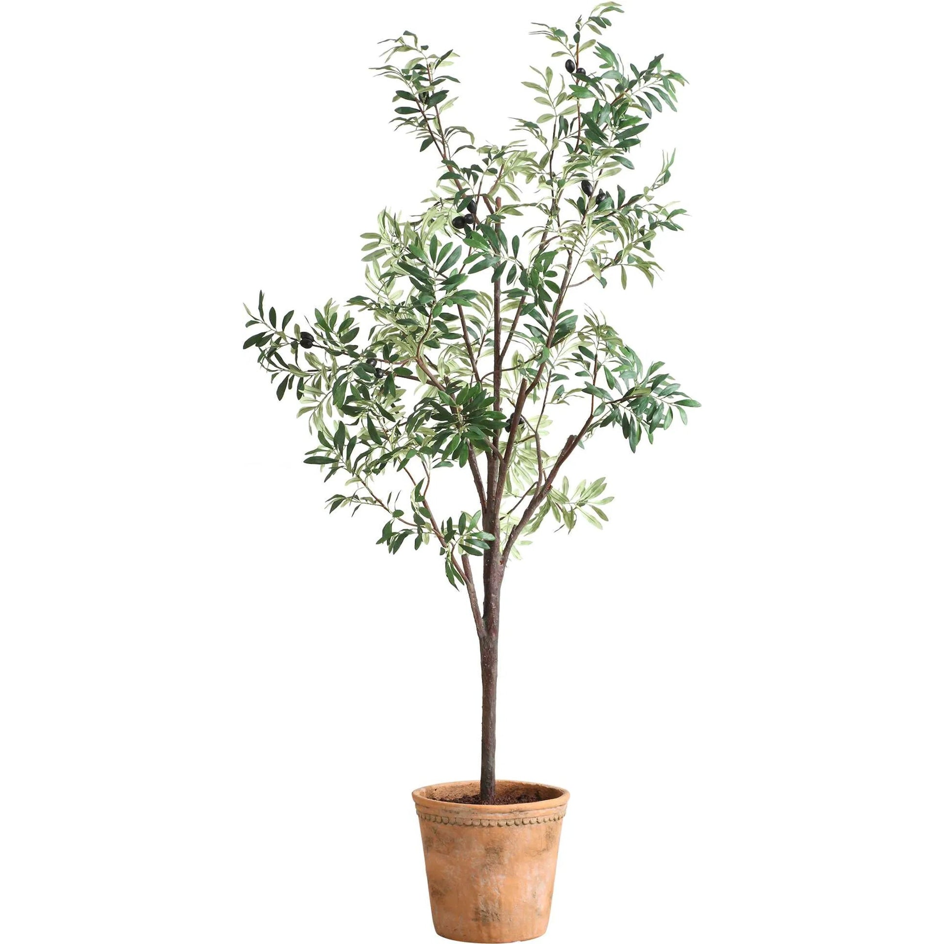 Olea Potted Olive Tree by Uttermost in terracotta. Made from polyester, plastic, glue in a rustic style.