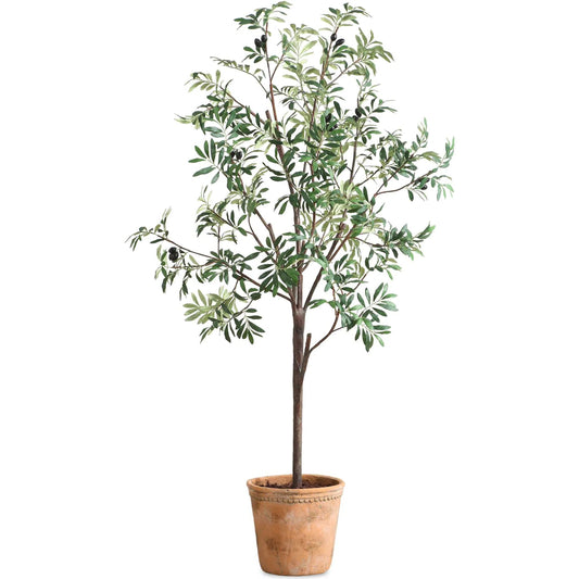 Olea Potted Olive Tree by Uttermost in terracotta. Made from polyester, plastic, glue in a unique style.