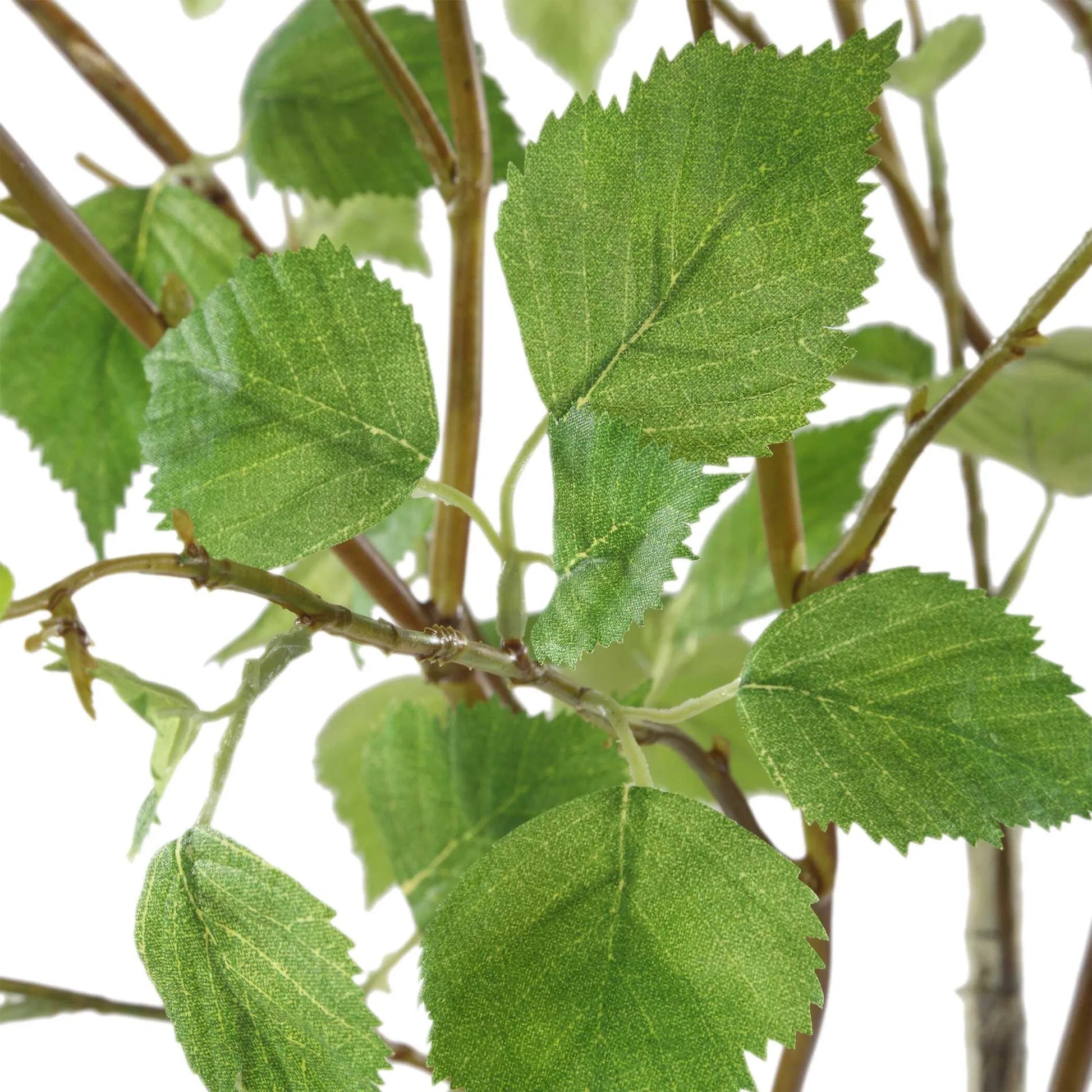 Nigra Birch Vase Centerpiece by Uttermost in clear. Made from polyester, plastic, glass in a transitional style.