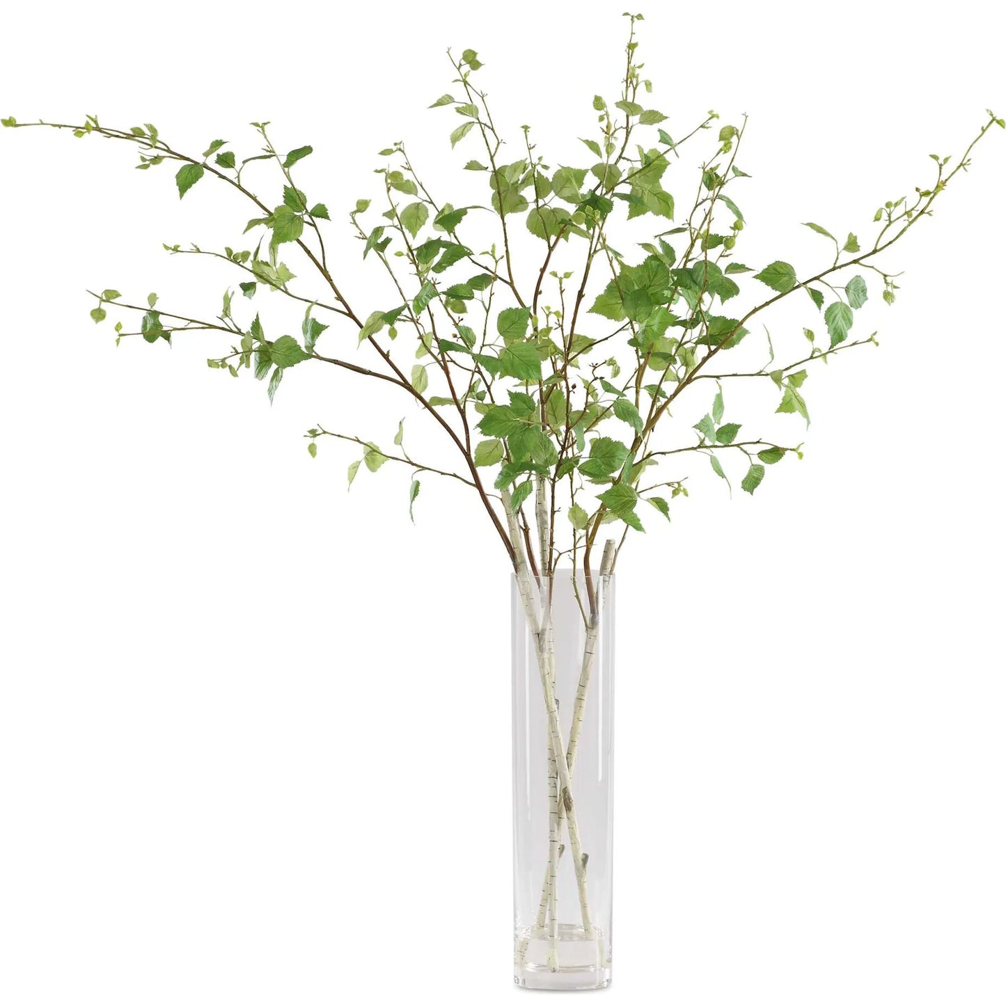 001 SI-2386889 | Primary Silo | Nigra Birch Vase Centerpiece by Uttermost in clear. Made from polyester, plastic, glass in a transitional style.
