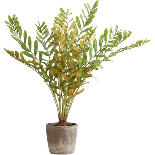 Zamia Palm Accent in Planter by Uttermost in rustic concrete. Made from polyester, plastic, cement in a unique style.