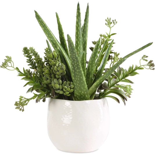 Sundown Succulent Accent Planter by Uttermost in white. Made from polyfoam, plastic, iron, ceramic in a unique style.