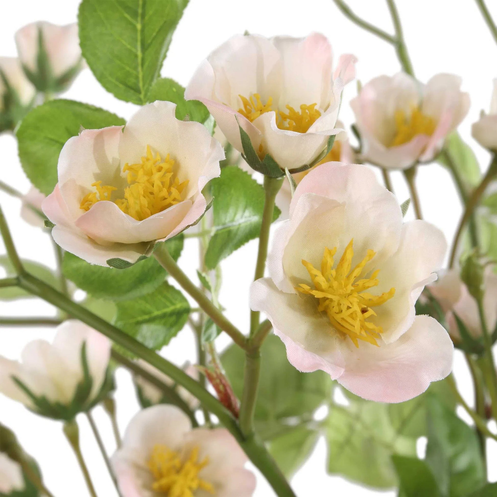 Tranquility Lenten Rose Bouquets by Uttermost in pink, yellow. Made from polyester, plastic, glass in a transitional style.