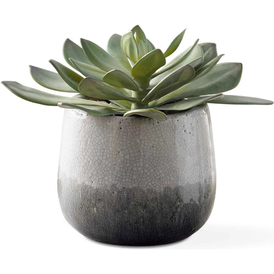 Dudleya Outdoor Succulent by Uttermost in gray. Made from ceramic, fabric, latex, rocks, foam in a unique style.
