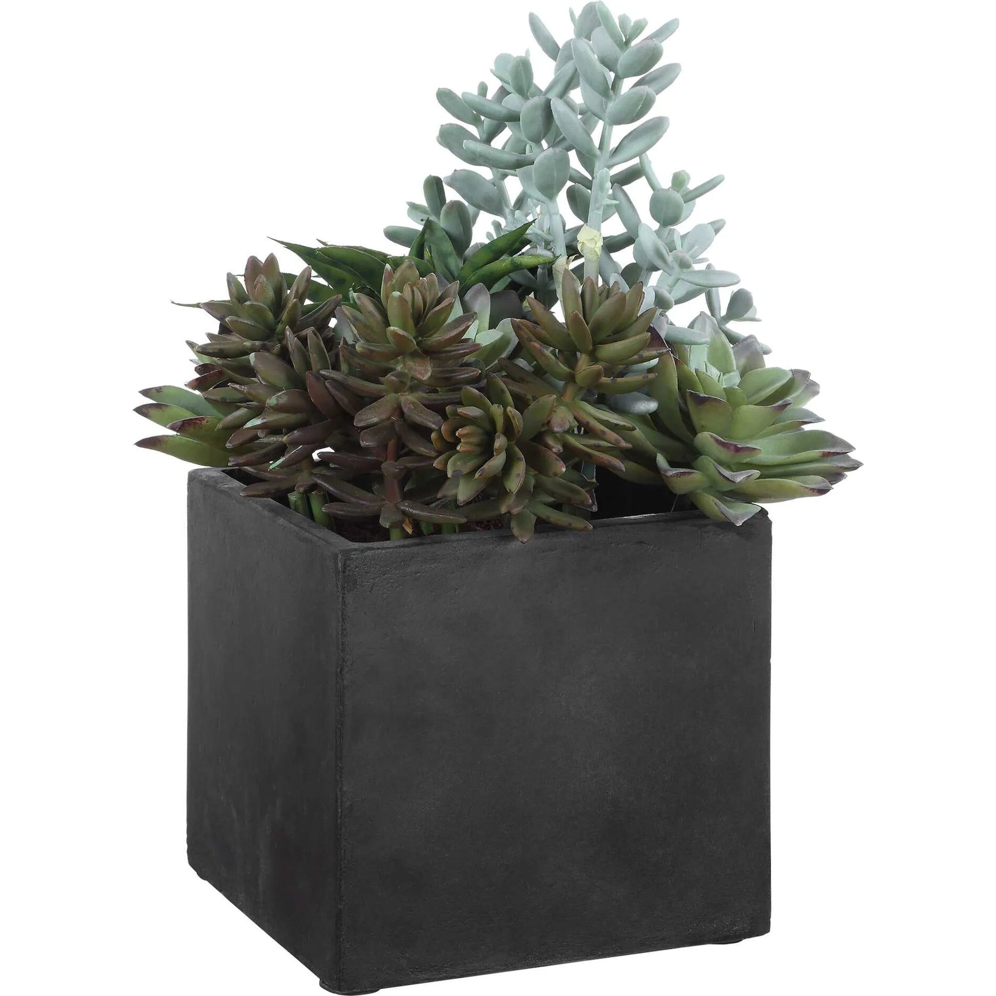 Greystone Indoor/Outdoor Succulent by Uttermost in green and black. Made from plastic, polyfoam, iron, cement in a unique style.