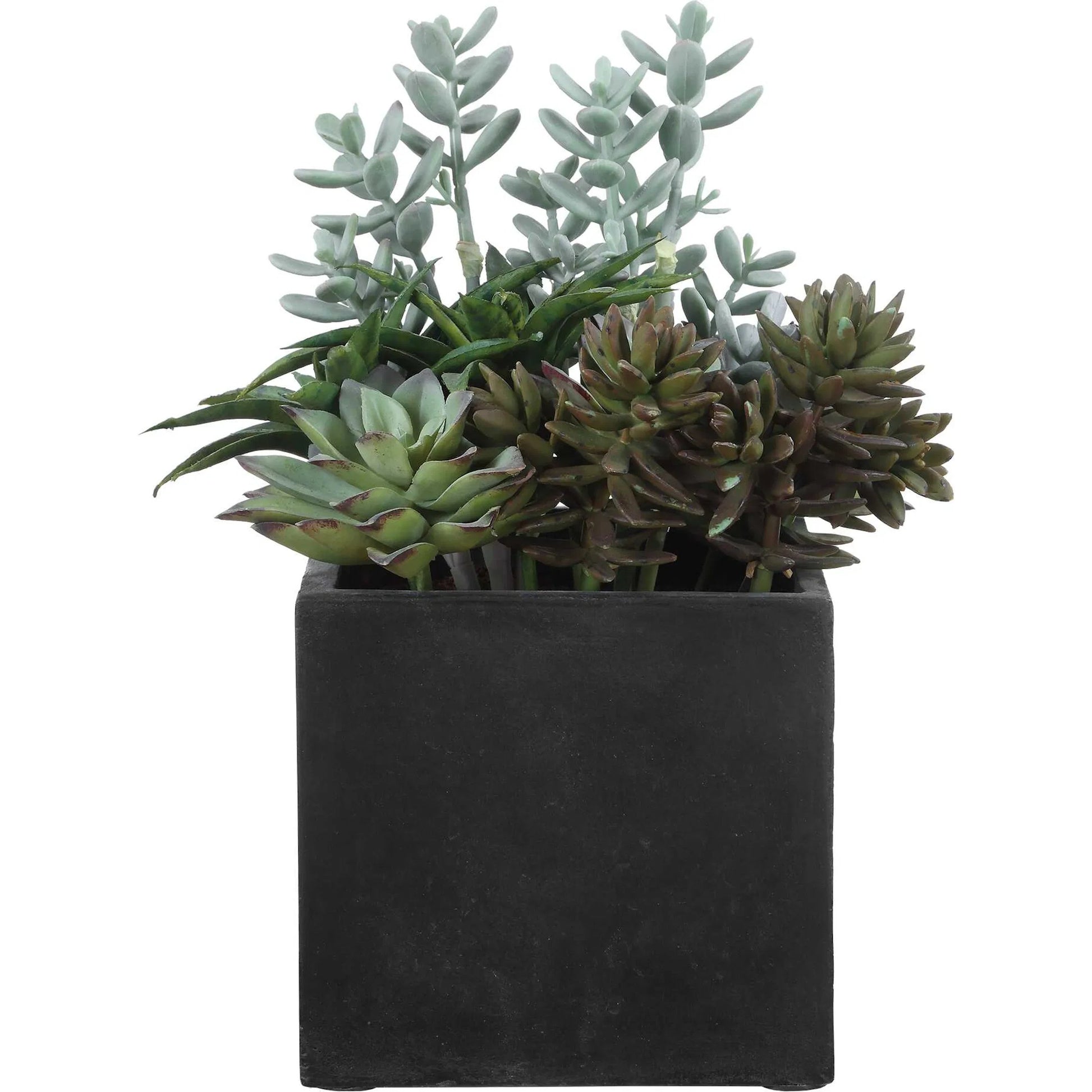 Greystone Indoor/Outdoor Succulent by Uttermost in green and black. Made from plastic, polyfoam, iron, cement in a unique style.