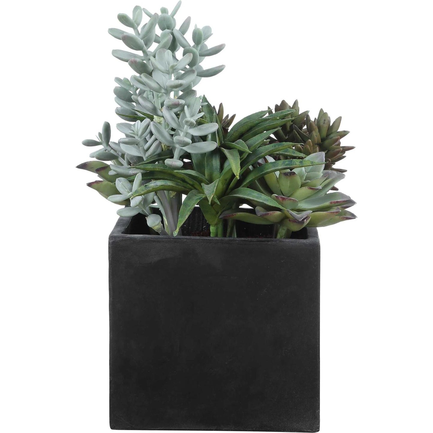 005 SI-2630818 | Additional Silo | Greystone Indoor/Outdoor Succulent by Uttermost in green and black. Made from plastic, polyfoam, iron, cement in a unique style.