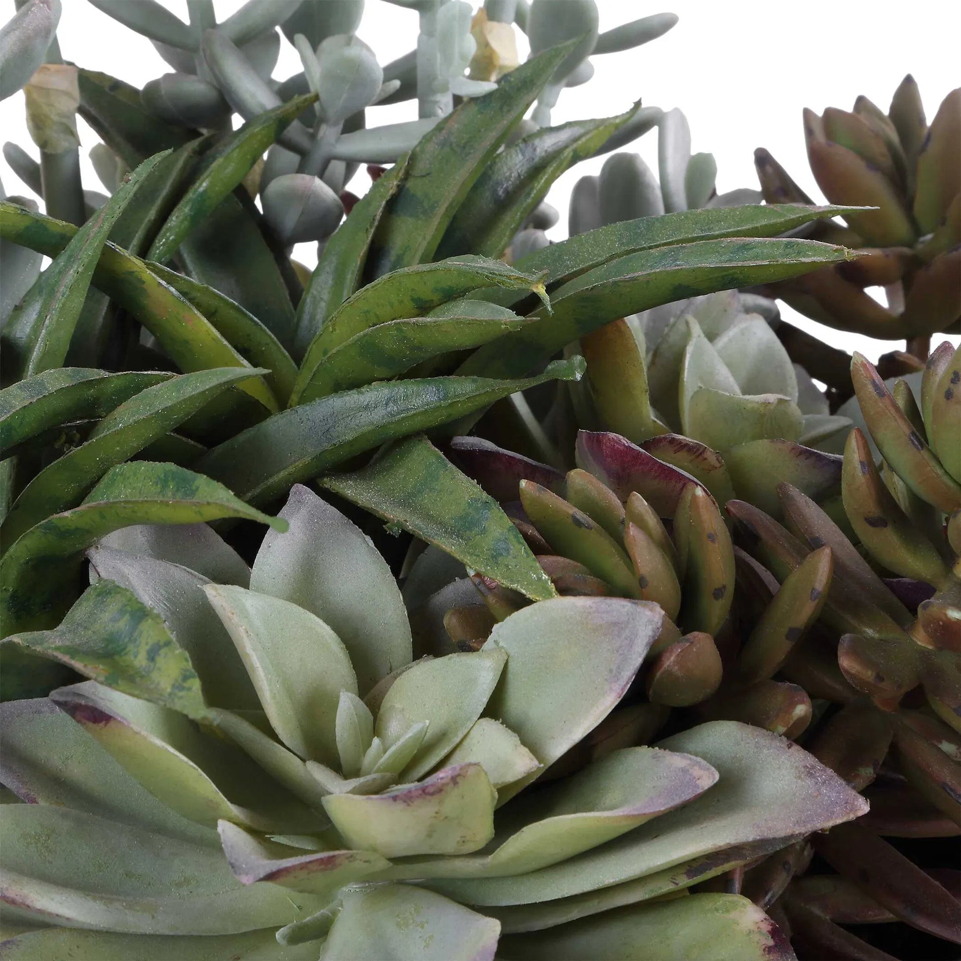 Greystone Indoor/Outdoor Succulent by Uttermost in green and black. Made from plastic, polyfoam, iron, cement in a unique style.