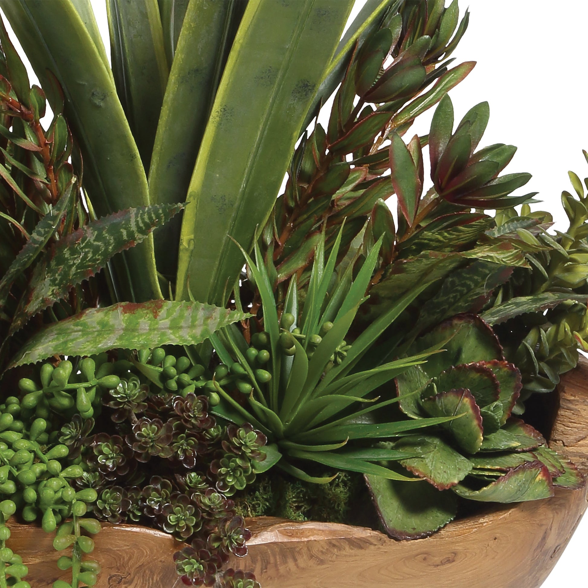 Salar Succulents in Teak Bowl by Uttermost in teak. Made from polyester, foam, teak wood in a modern style.