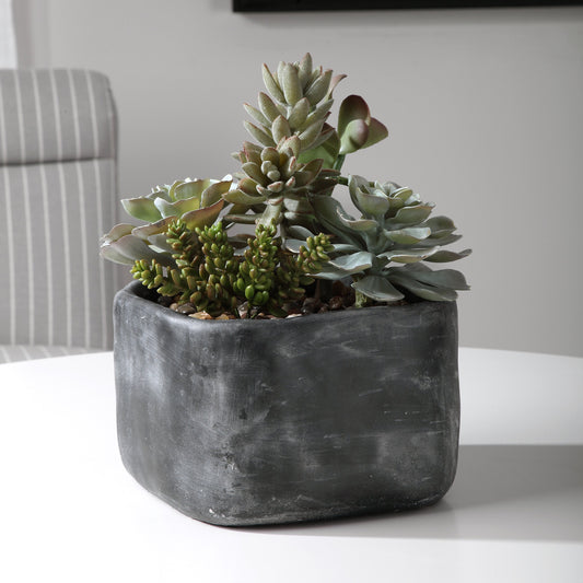 Alverio Desert Garden Succulents by Uttermost. Made from plastic, iron, glue, soil, cement in a cottage & farmhouse style.