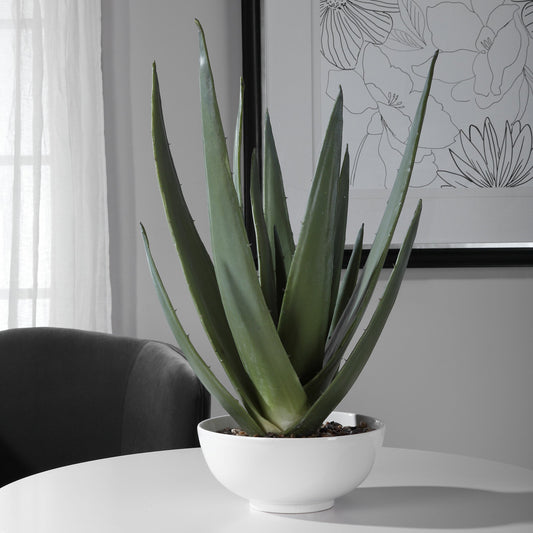 Evarado Aloe Planter by Uttermost. Made from polyfoam, resin, stone, iron, soil in a cottage & farmhouse style.