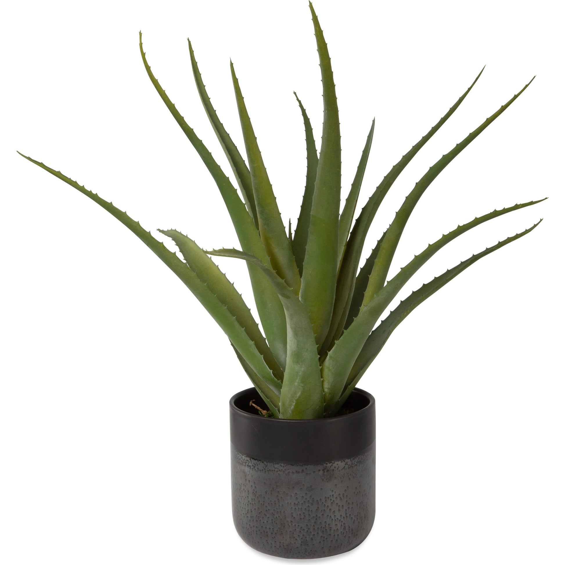 Tucson Aloe Planter by Uttermost in matte, gloss glaze. Made from latex, ceramic, foam in a modern style.