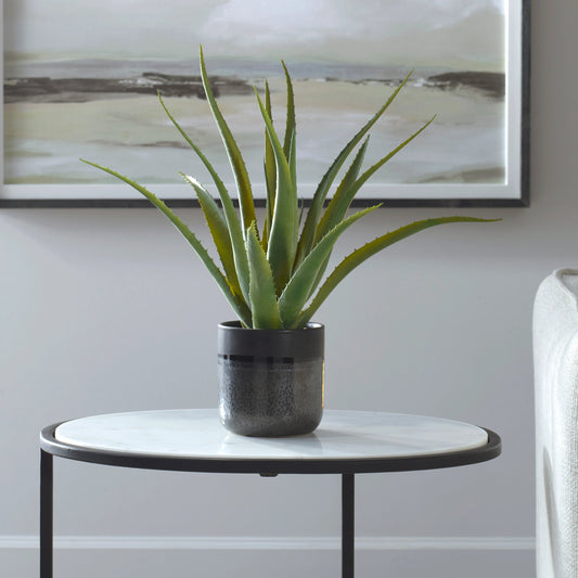 Tucson Aloe Planter by Uttermost in matte, gloss glaze. Made from latex, ceramic, foam in a modern style.
