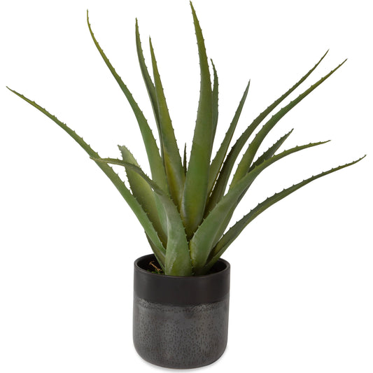Tucson Aloe Planter by Uttermost in matte, gloss glaze. Made from latex, ceramic, foam in a modern style.