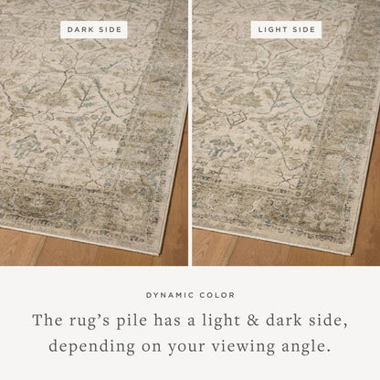 Briar BRR-02 Rug by Loloi. Made from 100% polyester in a unique sty