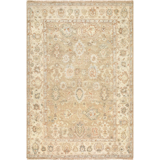 Biscayne BSY-2321 Rug by Surya in beige, sand, ivory, sage, terracotta. Made from wool in a unique style.