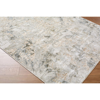 Brunswick BWK-2341 Rug by Livabliss. Made from face: 50% polyester, 50% polypropylene, warp: 100% cotton in a unique style.