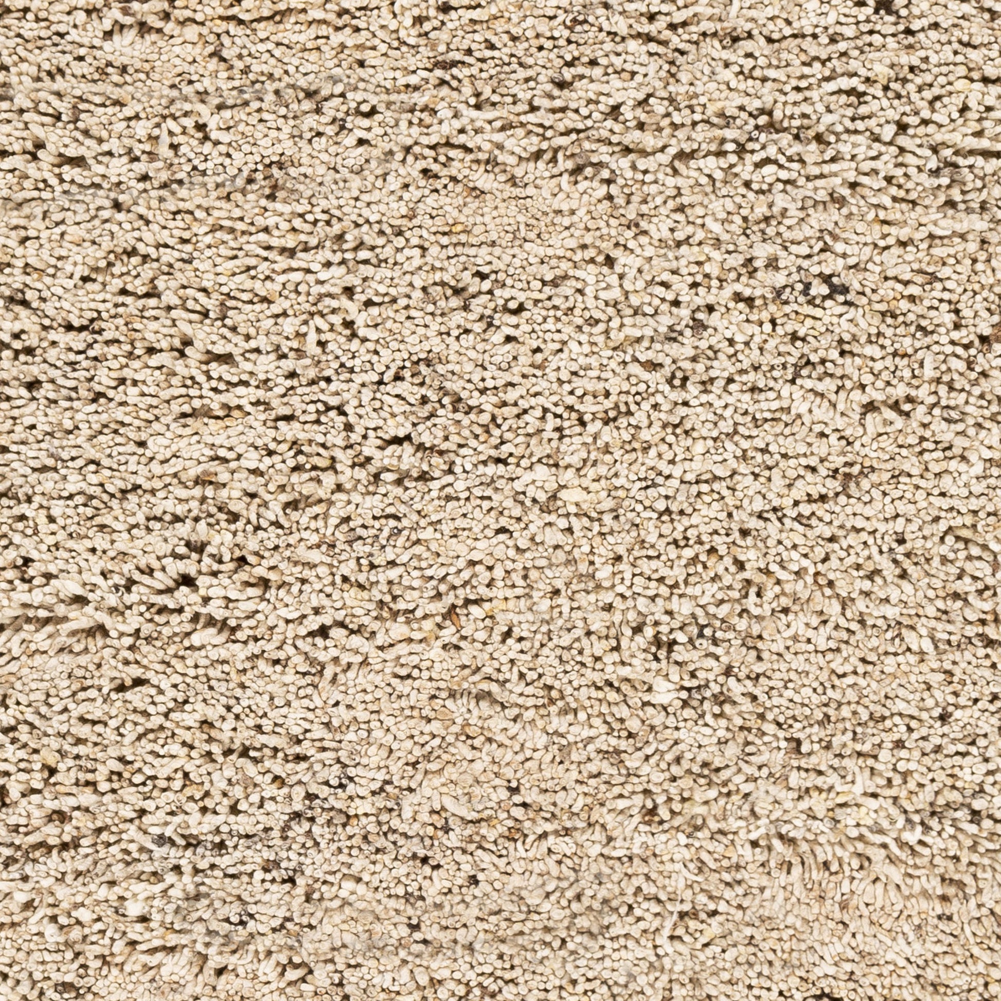 Bexley Rug - 23167 by Surya in brown, dark brown, cream. Made from 100% wool - felted in a unique style.