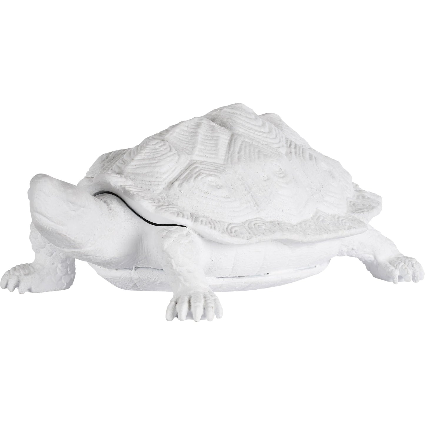 001 SI-2533946 | Primary Silo | Turtle by Chelsea House in white, cream and white. Made from unique in a unique style.