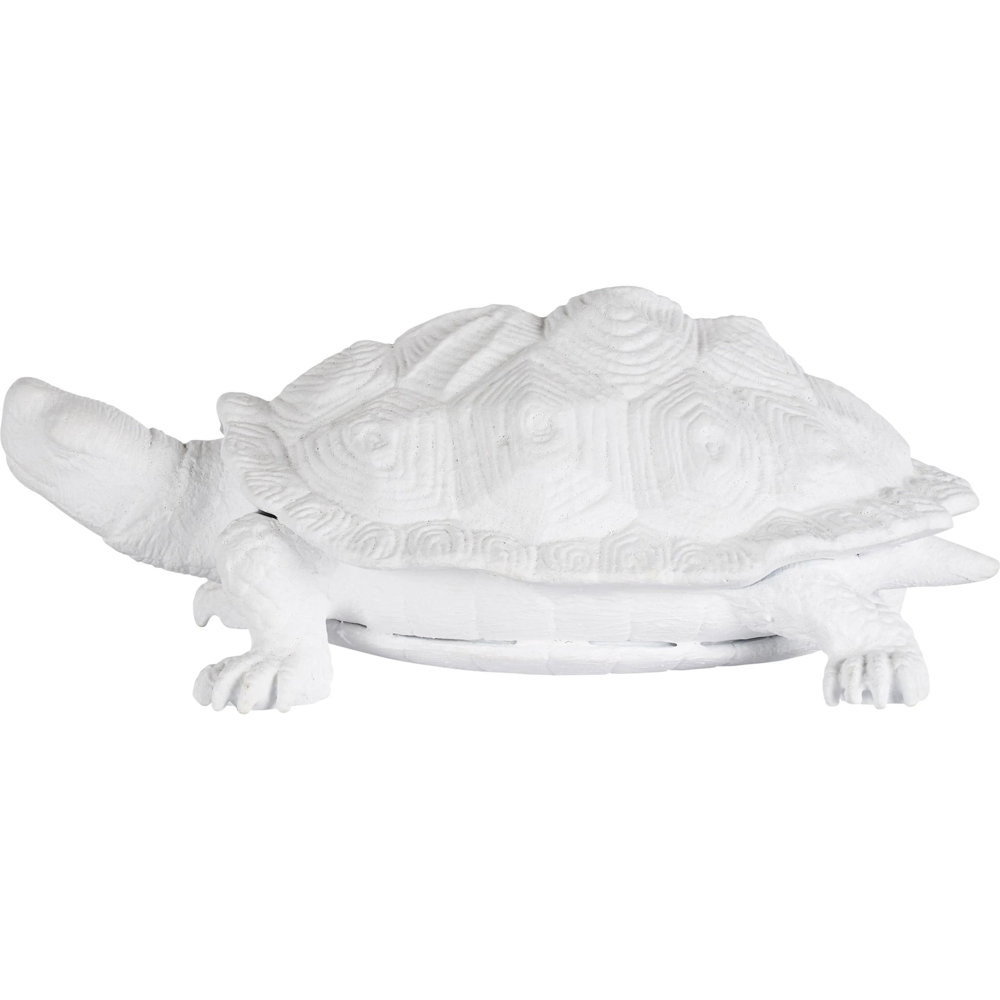 Turtle by Chelsea House in white, cream and white. Made from unique in a unique style.