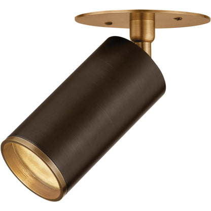 Caleb Flush Mount by Troy in patina brass, bronze. Made from steel in a modern style.
