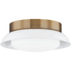 Patina Brass, Gloss White