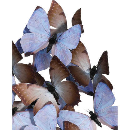 Rue De Bac Butterflies by Currey and Company. Made from paper, engineered wood, glass in a modern style.